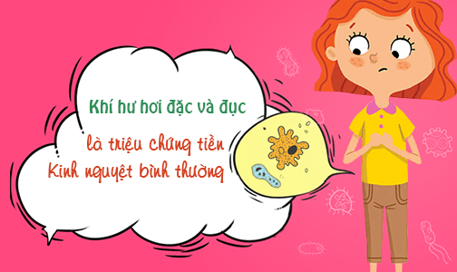 kiến thức phụ khoa của chị em 8 kiến thức phụ khoa của chị em 8