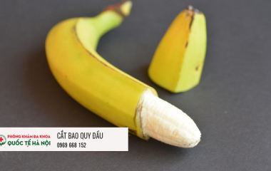 cat-bao-quy-dau-co-that-su-can-thiet-khong