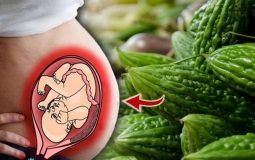 ba-bau-an-duoc-muop-dang-khong