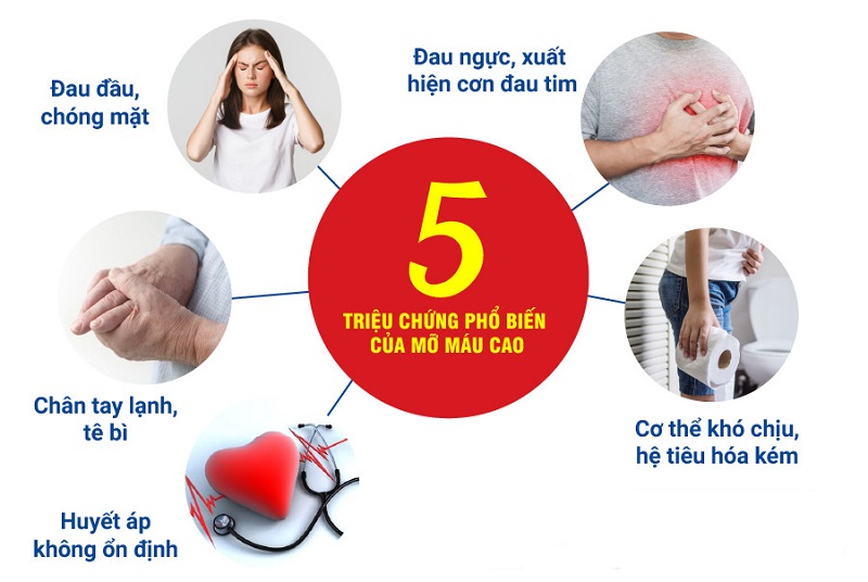 Dấu hiệu máu nhiễm mỡ (mỡ máu cao)