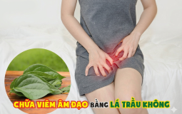 la-trau-khong-chua-viem-am-dao